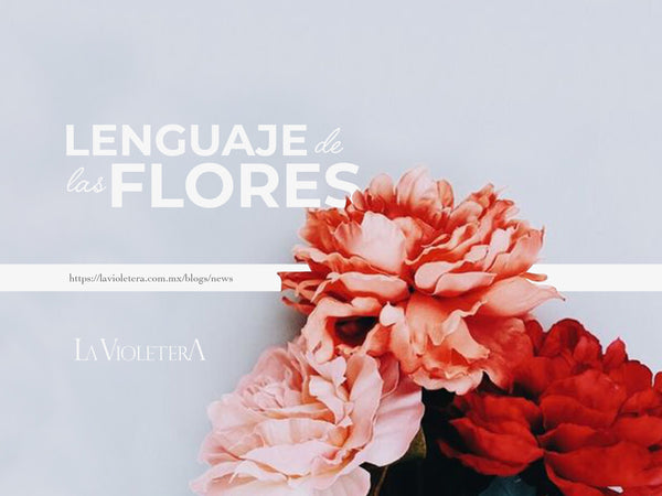 El Lenguaje de las Flores