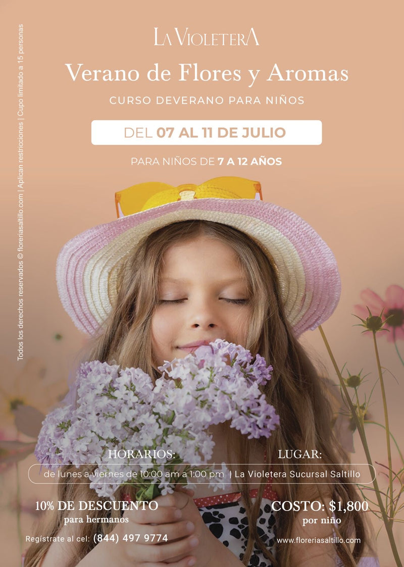 Curso de verano