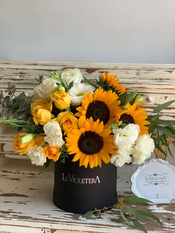 Siena, caja con girasoles, rosas y lisianthus