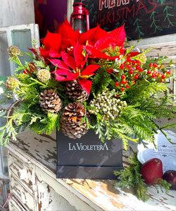 Natalia, caja con nochebuena en planta decorada.