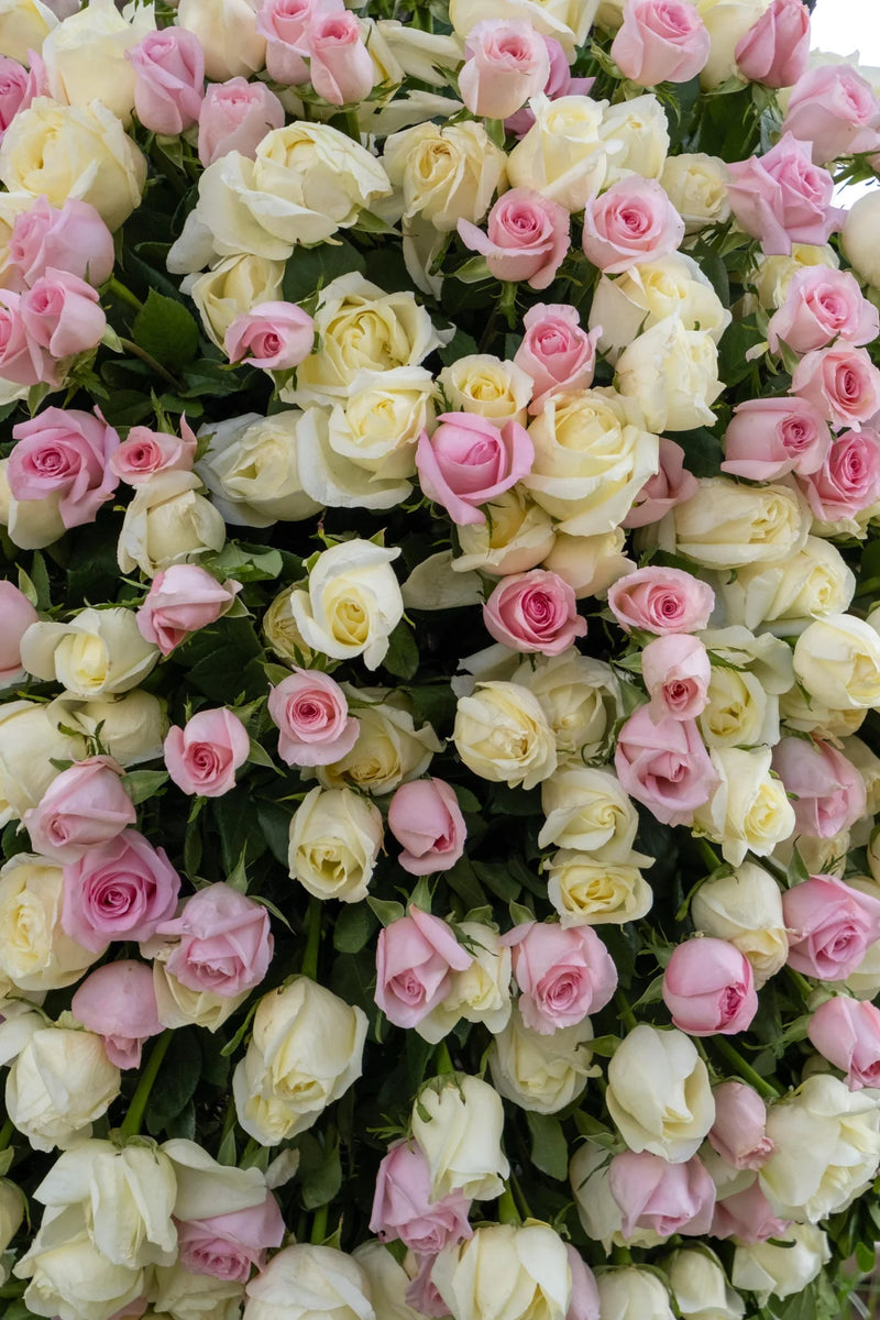 MAGDALENA, Corona fúnebre de rosas color rosado y blanco.