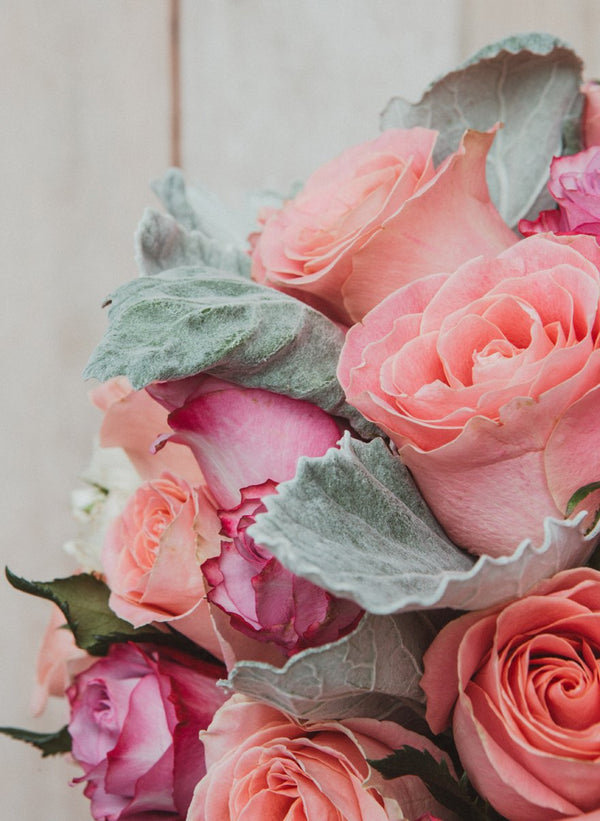 Marian, caja con 50 rosas, mini rosas
